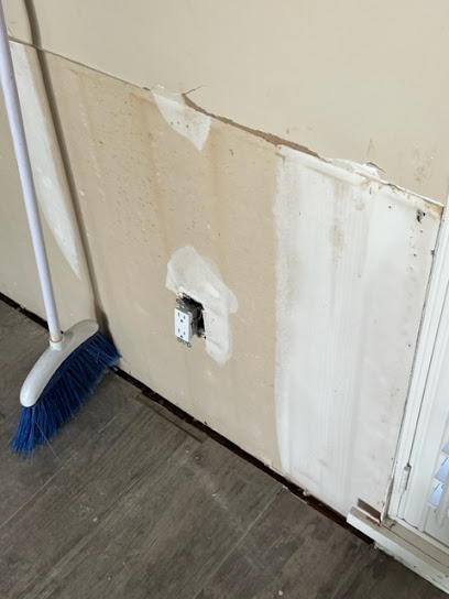 Mold Experts Of Swfl