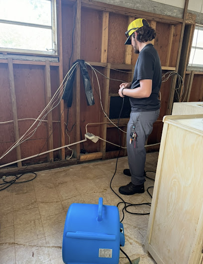 Mold Exterminators