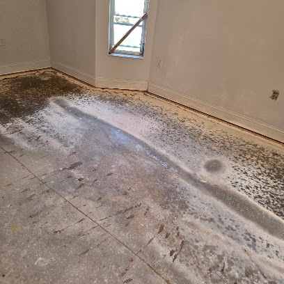 Negocio Mold Guys Of Swfl