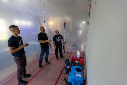 Mold Only, Inc