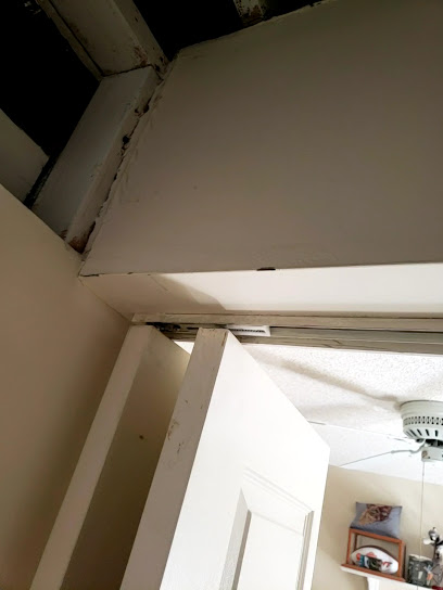 Negocio Mold Remediation