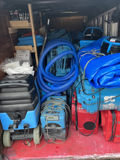 Mold Remediation Of Naples