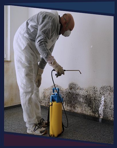 Mold Remediation Specialists