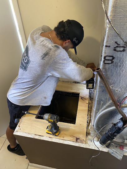 Mold Removal