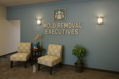 Mold Removal Executives - El Paso
