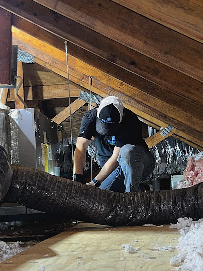 Negocio Mold Solutions Tampa Bay