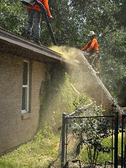 Monster Tree Service Of Texas Gulf Coast