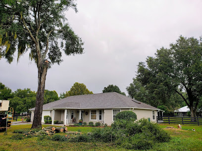 Negocio Oakview Tree & Landscape