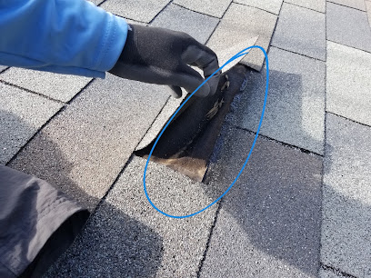 Old Reliable Pest Control