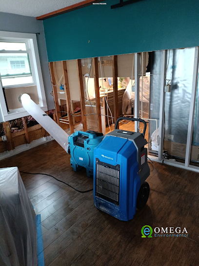 Omega Environmental