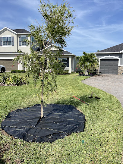 Plan-It Lawn & Landscape, Llc