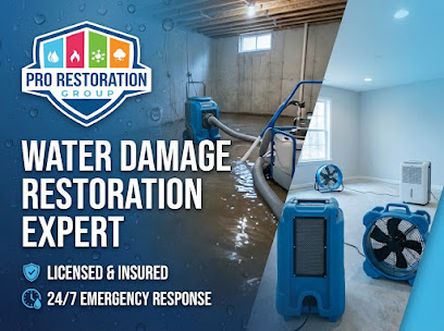 Pro Restoration Group Llc
