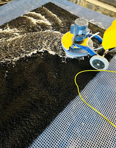 Negocio Professional Carpet Systems