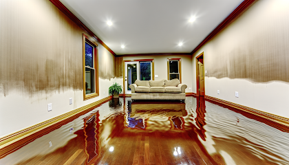 Proshield Water Damage Cleanup