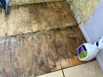 Puddles Restoration