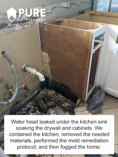 Negocio Pure Maintenance Mold Remediation - Jacksonville