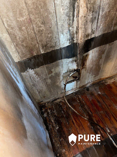 Negocio Pure Maintenance Mold Remediation - Jacksonville Beach