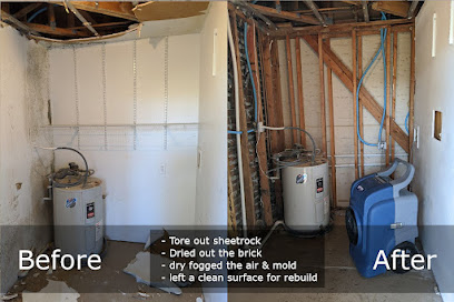Pure Maintenance Mold Remediation - Orlando