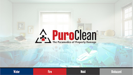 Negocio Puroclean Of Lake Mary