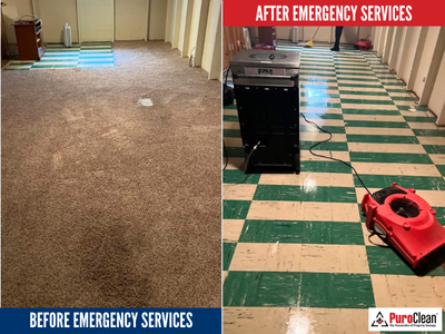 Negocio Puroclean Of Park Cities/North Dallas