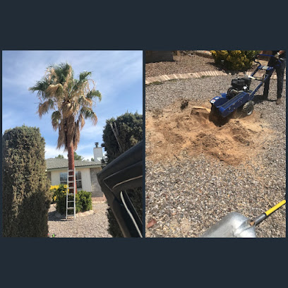 R&M Tree Service