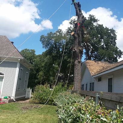 Ramirez Tree Service 512