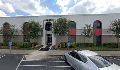 Rapid Response Mold Removal