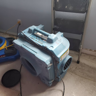 Rapid Restoration Flood Fire Mold Llc