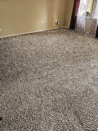 Redline Carpet Cleaning Specialists & 24 Hour Water Extraction
