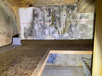 Reliant Mold Testing