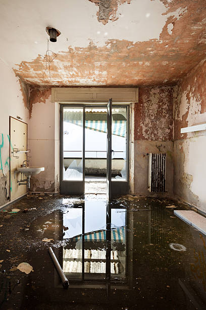 Negocio Rescue Water Damage Restoration Greenacres