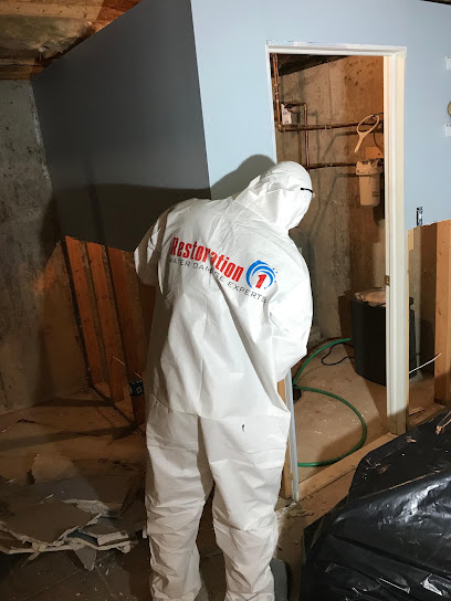 Restoration 1 Of San Antonio North