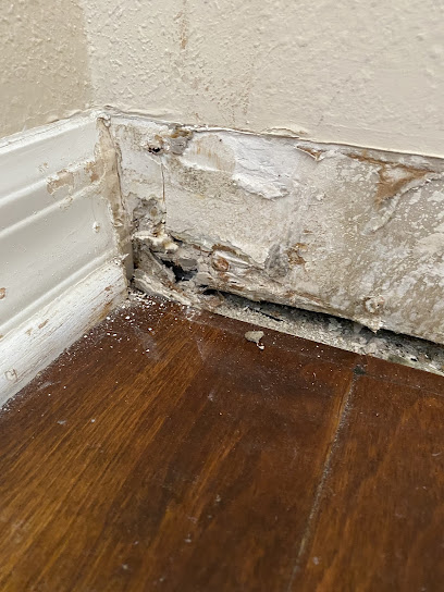 Restoration Specialists Leesburg