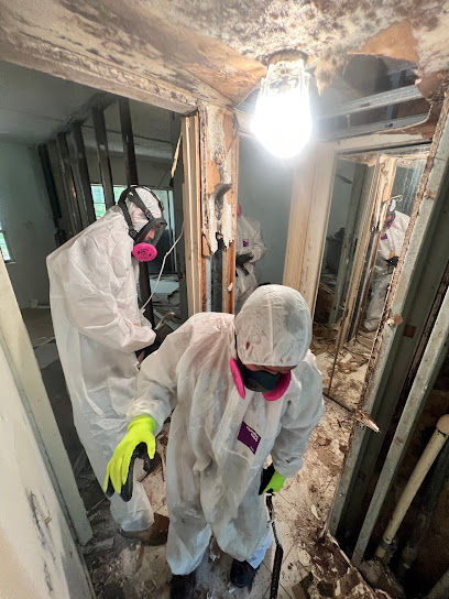 Negocio Restoration Xperts