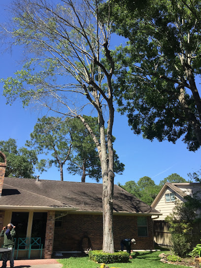 Rf Tree Service