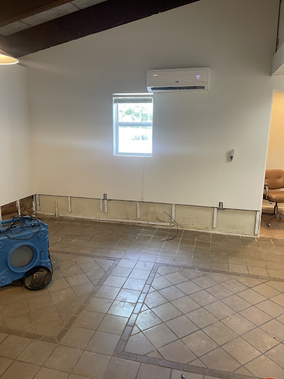Royal Mold Specialist