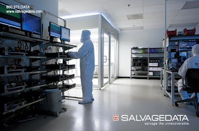 Negocio Salvagedata Recovery Services