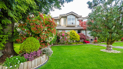 Segura's Landscaping