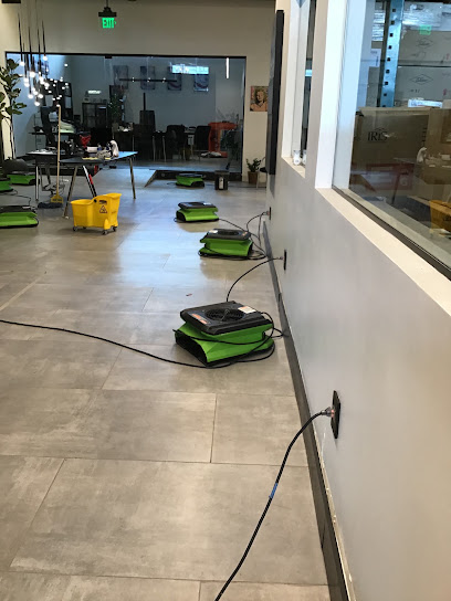 Servpro Of Hollywood/Hallandale