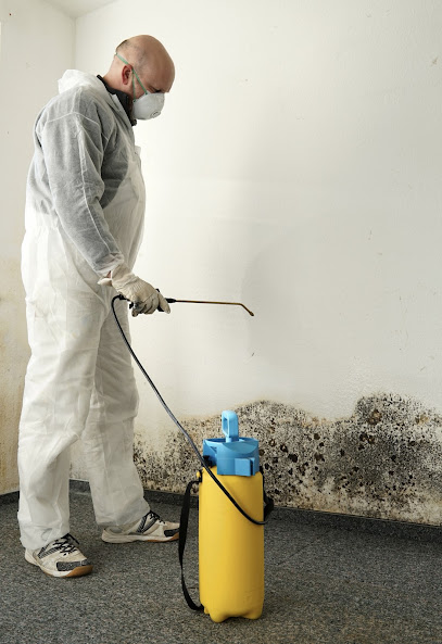 Shield Remediation