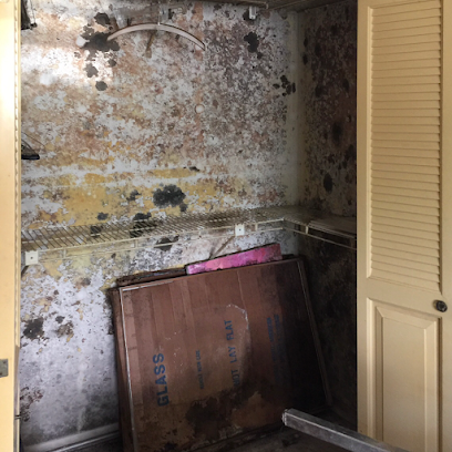 Negocio South Florida Water And Mold Restoration