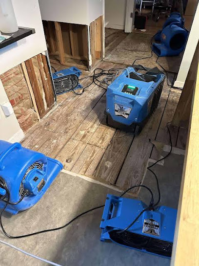 Spring Emergency Water Cleanup