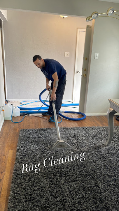 Steam Pro Carpet Cleaning