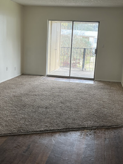 Steam Vac Carpet Cleaners