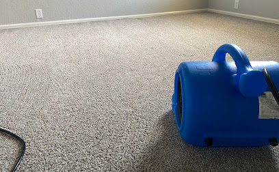 Negocio Steamer's Carpet Care