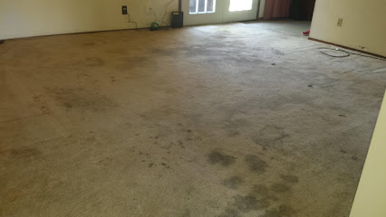 Steamers Carpet Cares