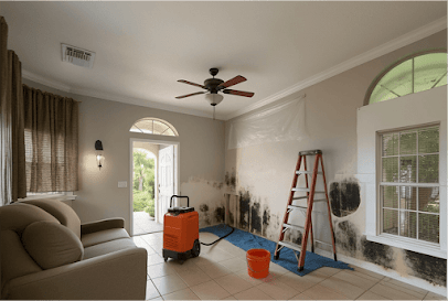 Storm Water And Mold Restoration