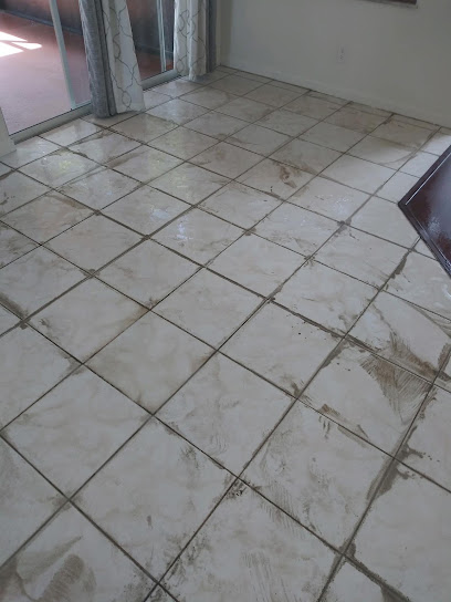 Sunshine Carpet Cleaning