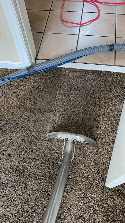 T.i.p Carpet & Upholstery Cleaning