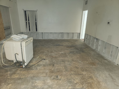 Tampabaymold.net